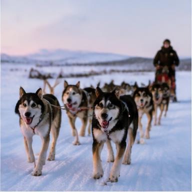 Holmen Husky Lodge